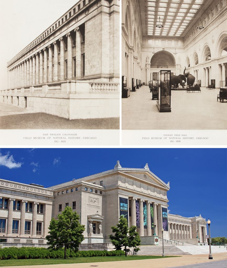 field museum of natural history